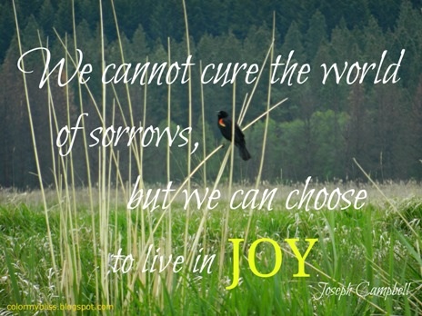 Sorrows and joy